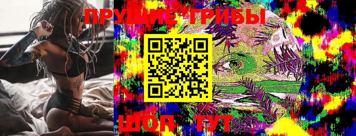 Галлюциногенные грибы GOLDEN TEACHER  Галлюциногенные грибы GOLDEN TEACHER  Вход с VPN  Наро-Фоминск 